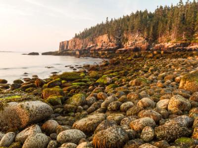 Boulder Beach & Otter Cliffs