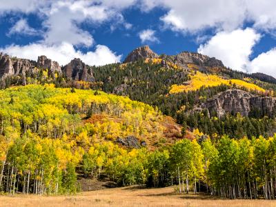 Stony Ridge Autumn in Uncompahgre National Forest