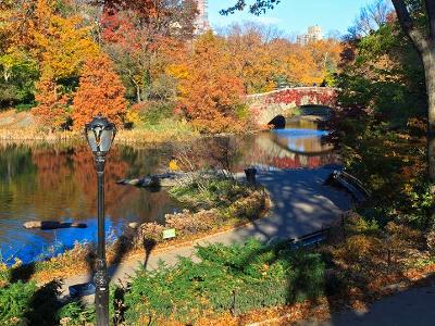 Central Park Path and Pond