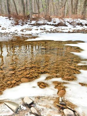 Esopus Creek Thaw