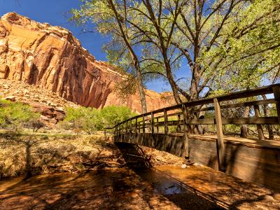 Shady Spring Day on Sulphur Creek