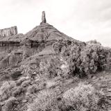 Castleton Tower and Juniper Tree