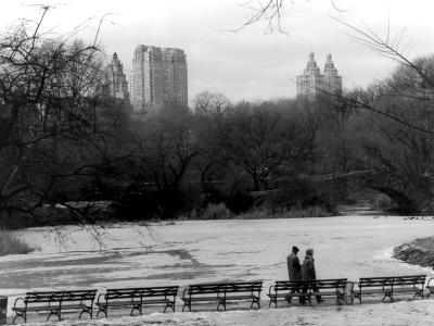 Central Park Winter Stroll