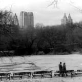 Central Park Winter Stroll