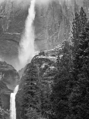 Yosemite Falls Forest B&W