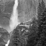 Yosemite Falls Forest B&W