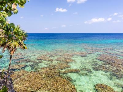 Crystal Clear Roatan Barrier Reef