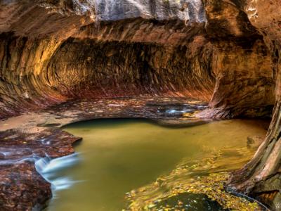 Subway Swirling Leaves Panorama