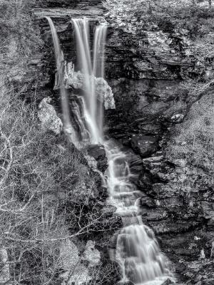 Silky Haines Falls Black and White