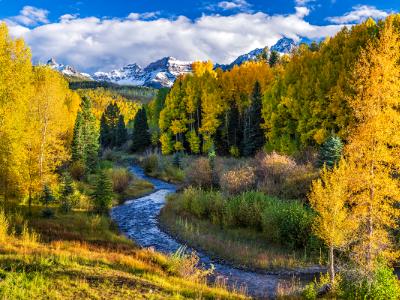 Autumn Afternoon on East Dallas Creek