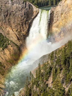Lower Falls and Yellowstone River