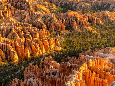 Bryce Point Morning View