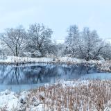 Broomfield Pond and Little Red Building