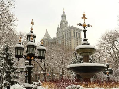 Snowy City Hall Park 