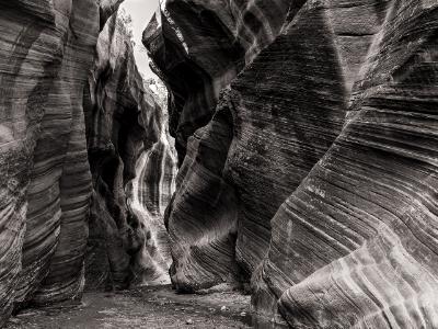 Willis Creek Narrows Black & White