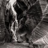 Willis Creek Narrows Black & White