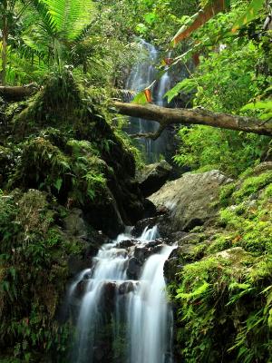 Tropical Double Falls