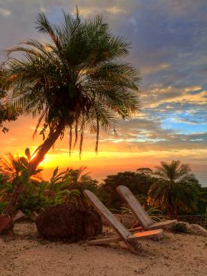 Palm Tree Chair Sunset HDR