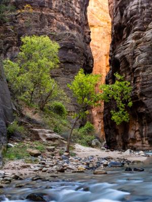 Orange Crack in the Virgin Narrows