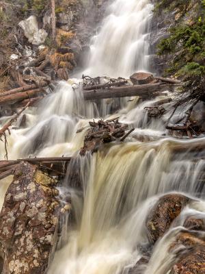 Silky and Misty Fern Falls in Spring