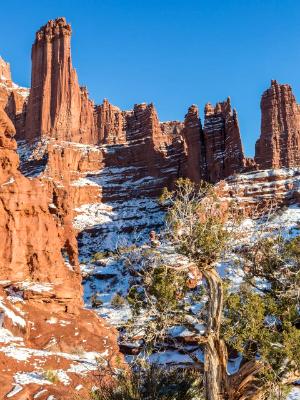 Fisher Towers Juniper Tree