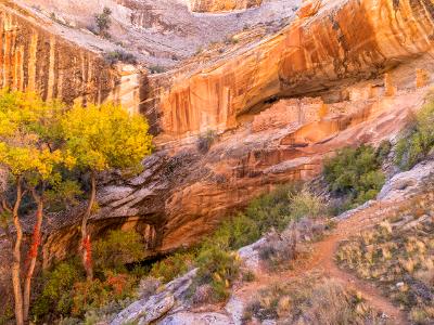 Monarch Cave Autumn Color