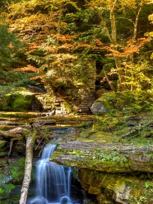 Tompkins Falls Autumn