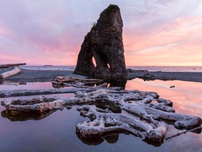 Ruby Beach Driftwood and Seastack Holes