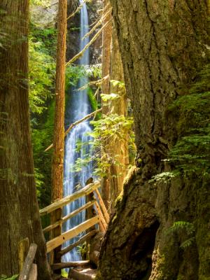 Marymere Falls and Trail