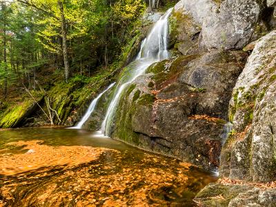 Moss Glen Falls Leaf Swirls