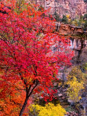 Autumn Color at Emerald Pools