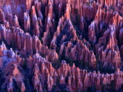 Pre Dawn Hoodoos