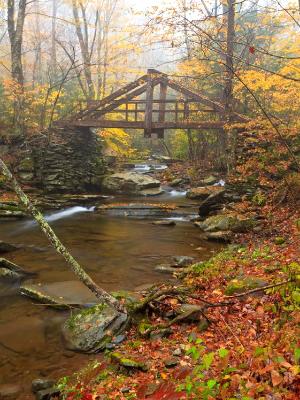 Fall Wooden Bridge on Platte Kill 