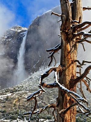 Fresh Snow in Yosemite Valley