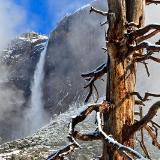 Fresh Snow in Yosemite Valley