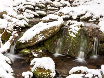 Rochester Hollow Brook Winter