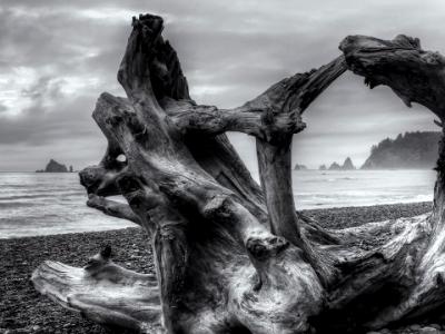 Rialto Beach Moody Sunset