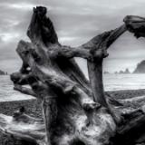 Rialto Beach Moody Sunset