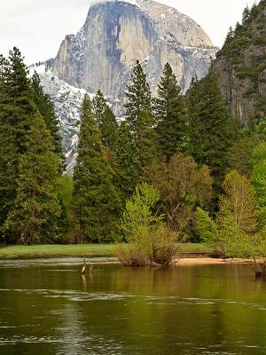 Merced River and Half Dome