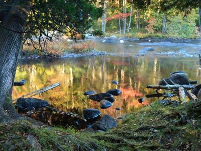 Raquette River Roots and Reflections