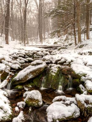 April Snow in Rochester Hollow