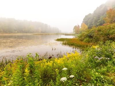 Foggy Morning on Wawaka Lake