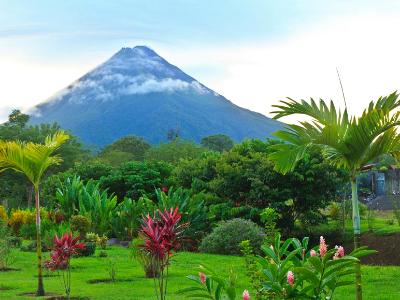 Arenal Volcano and Palm Trees