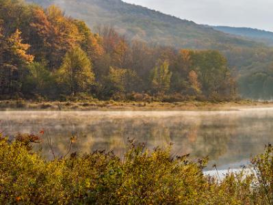 Alder Lake Foggy Morning Panorama (Click for full width)