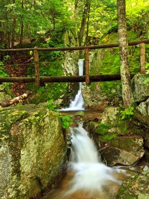 Footbridge over Wedge Brook