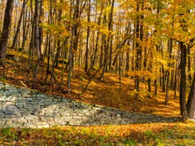 Catskills Stone Wall