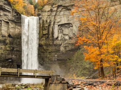 Taughannock Falls and Bridge