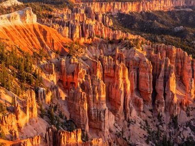 Pink Cliffs Sunrise