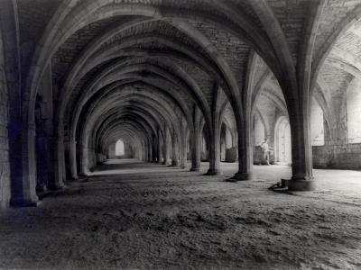 Fountain's Abbey