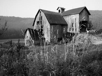 Barkaboom Barn B&W